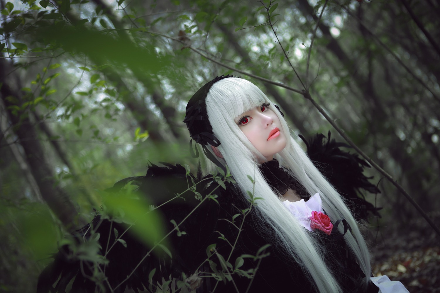 1girl bangs blurry closed_mouth dress flower gothic_lolita hairband lips lolita_fashion long_hair looking_at_viewer plant red_eyes solo suigintou upper_body white_hair