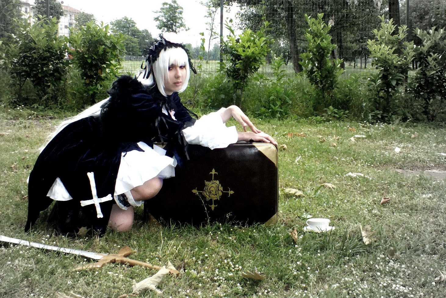 1girl cape day flower forest nature outdoors sitting solo squatting suigintou sunlight tree white_hair