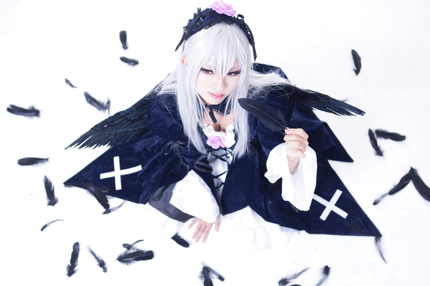1girl bird bird_on_hand black_feathers black_wings crow dove dress feathered_wings feathers flower long_hair long_sleeves looking_at_viewer rose seagull silver_hair solo suigintou white_feathers wings